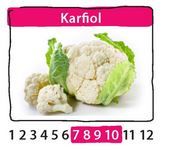 Saisonkalender mit Karfiol